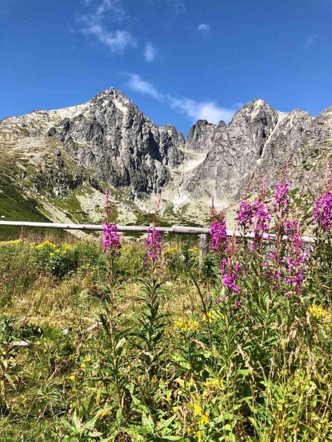 Apartmán Lesníček Stará Lesná Exteriér fotografie